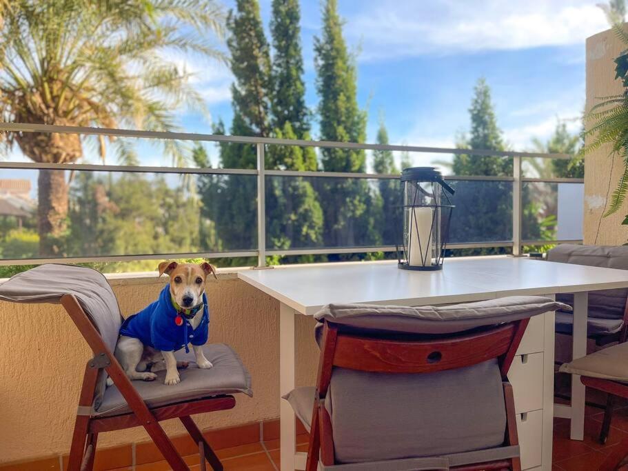 Klimatyczny Loft I Egzotyczny Basen Apartment Benalmadena Luaran gambar