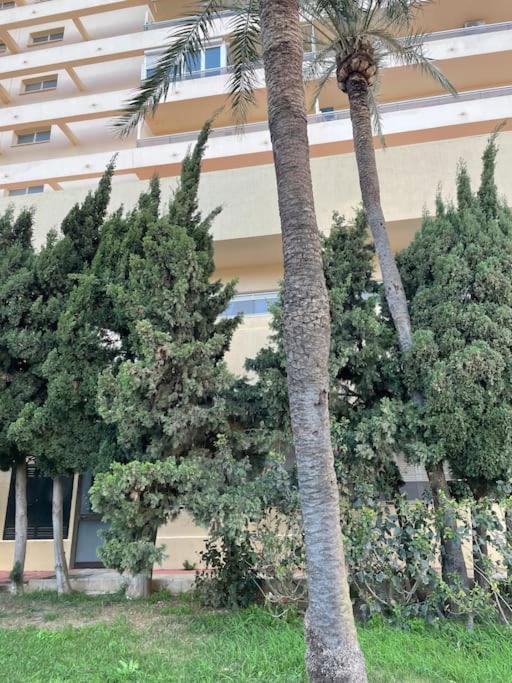 Klimatyczny Loft I Egzotyczny Basen Apartment Benalmadena Luaran gambar