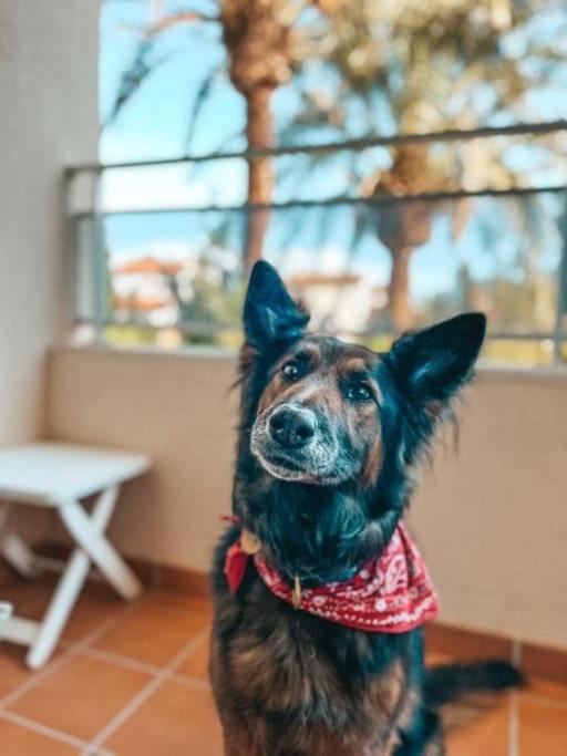 Klimatyczny Loft I Egzotyczny Basen Apartment Benalmadena Luaran gambar