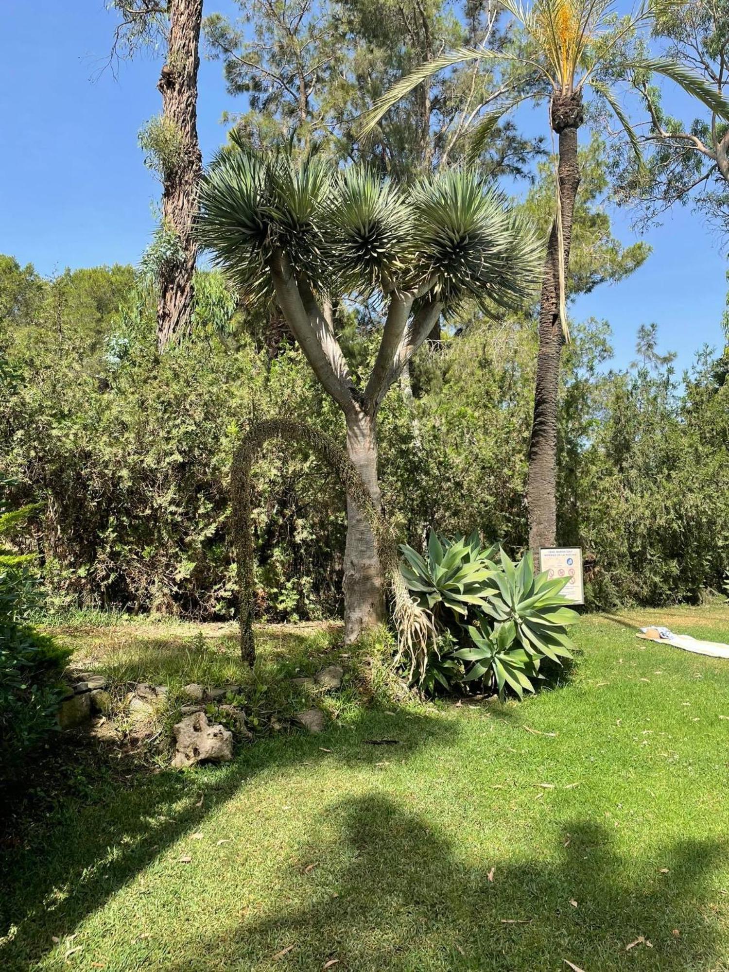 Klimatyczny Loft I Egzotyczny Basen Apartment Benalmadena Luaran gambar